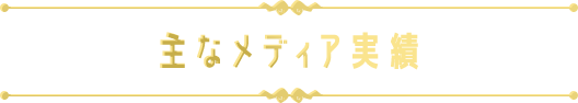 主なメディア実績